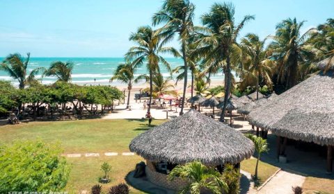 Coqueirais em Mundau Ceara Passeio