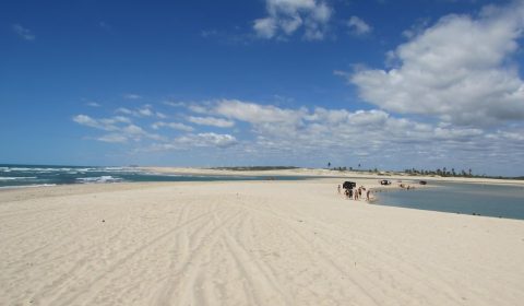 Águas Belas