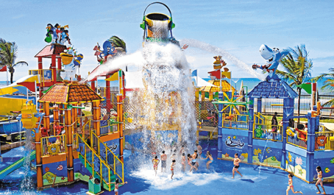 Acquashow no Parque infantil no Acqua Park