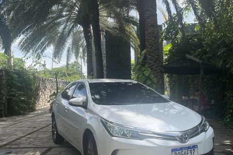 transfer-carmel-taiba-fortaltur